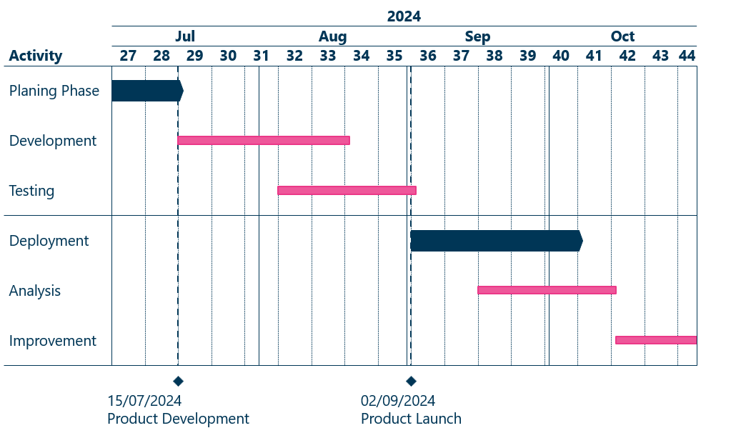 Project Gantt Chart